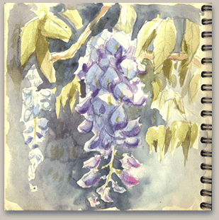 Plantes et animaux 07