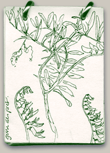 Plantes et animaux 08